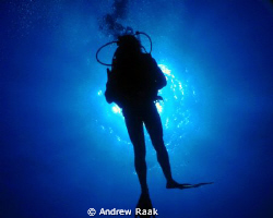 West Palm Beach, FL
Diver Silhouette
 by Andrew Raak 